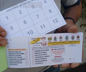 Giaveno senza micologo. I boulajour di Crisafi si certificano i funghi da soli