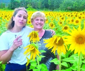 Venaus: splende il girasole sull’estate valsusina