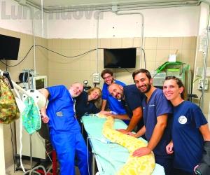 Vita e miracoli del Canc di Grugliasco, magico pronto soccorso degli animali