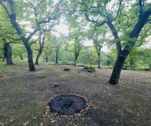 Stop ai fuochi nei castagneti, monta la protesta