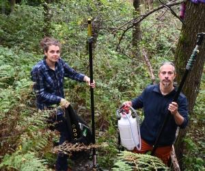 Giaveno, distrutto il nido di vespa velutina scoperto nel bosco
