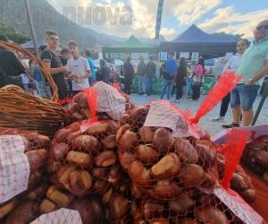 Villar Focchiardo: torna la Sagra del Marrone