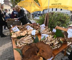 Giaveno, la domenica infuocata del fungo