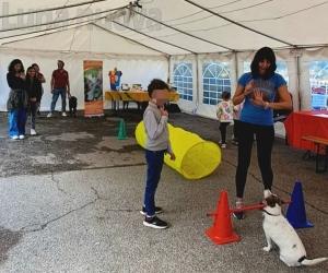 Grugliasco, alla "Di Nanni" i cani salgono in cattedra