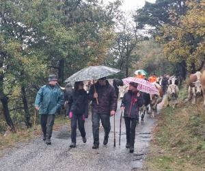 Alpeggi, le desarpà nelle nuvole