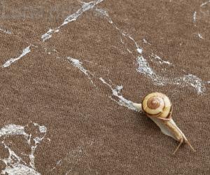 Al Castello l’arte che aiuta la natura