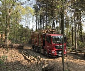 Almese: a Pian dei Listelli l’Arboreto cresce con un nuovo tratto