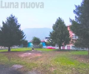 S.Antonino, presto la nuova area cani: abbattuti due alberi, è polemica