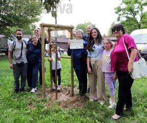 Grugliasco, per Natale regala un albero al parco