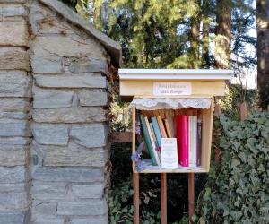 Ai Bertassi arriva la "Nimbiblioteca del Borgo"