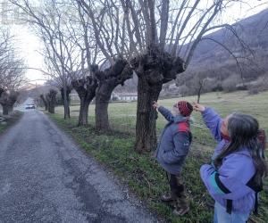 Villar Focchiardo: i gelsi di cascina Comboira tra i Luoghi del Cuore Fai