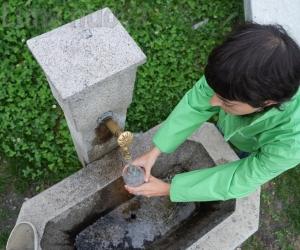 «Pfas da mettere al bando»: parola dei medici