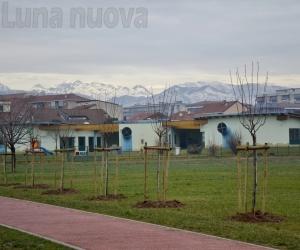Grugliasco anticipa la primavera con 270 alberi