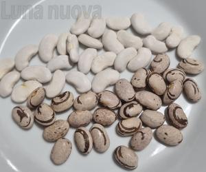 Mattie, il paese dei fagioli adesso ha la sua sagra