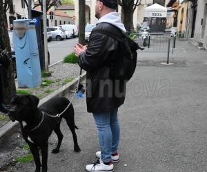 Rivoli, Renato e Nerone cercano casa