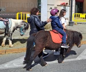 Rivoli celebra la terra e i suoi prodotti