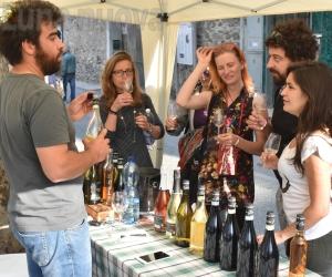 Bussoleno: il Critical Wine torna alle radici