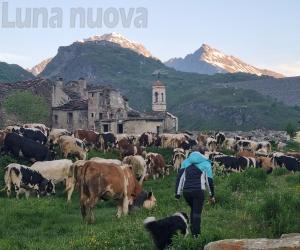 Listello, le ultime sentinelle del Piccolo Moncenisio