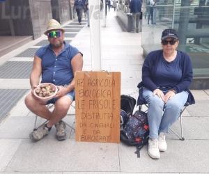Giaveno, cinghiale ghiottone e burocrazia lenta: Le Frisole chiude?