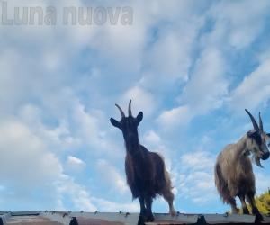 "La mia foto alla Luna" entra... nella vecchia fattoria