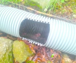 Villar Focchiardo: acqua e vandali nei castagneti
