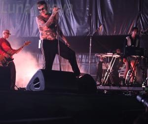 Rock the Flowers: i Viagra Boys a Collegno 