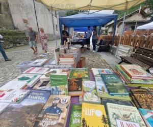 Moncenisio: domenica 24 agosto torna la "Fiera del Libro di Montagna"