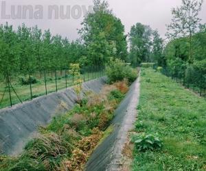 Rivoli, risolto il giallo del cadavere di Castelpasserino