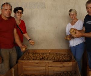 Giaveno, i tre campioni della patata montana