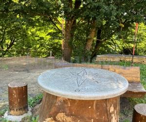 Storia di un cedro: un trappista all’Indiritto in cerca di pace e riposo