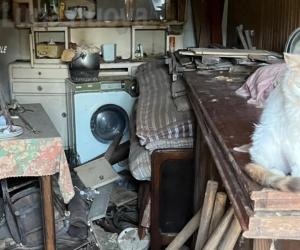 Coazze, denunciata per gli animali "maltrattati"