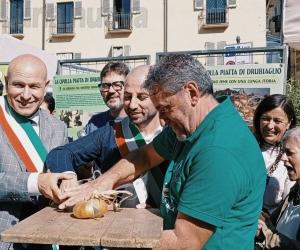 Avigliana, la cipolla bionda regina della cucina e della piazza