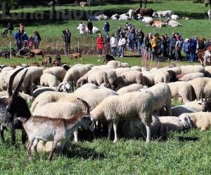 Oulx, Fiera Franca: un triste ritorno in grande
