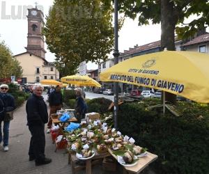Giaveno, la festa del fungo entra nel vivo 
