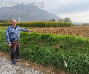 Avigliana, stazione elettrica: fioccano i «No»