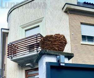 Severino Magri al Mau di Torino con tre opere