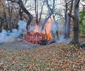 Un altro fine settimana di fuoco in valle di Susa