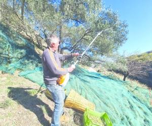 Giaglione: l'olio delle aquile vola sulle Gorge