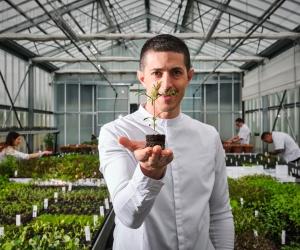 Almese, Mammoliti brilla: tre Stelle Michelin per "La Rei Natura"