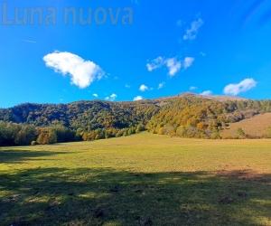 Giaglione: Azienda faunistica, tutto da rifare