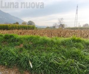 Avigliana, stazione elettrica  al posto dei campi. C’è un altro "No"