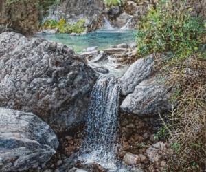 Le trame naturali di Vinicio Perugia tra lirismo e natura