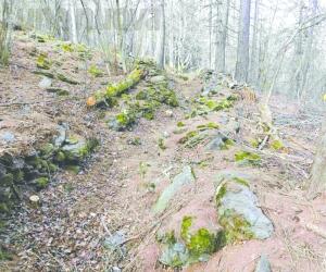 Bussoleno: fondi regionali per la mulattiera Gerpula-rifugio Amprimo