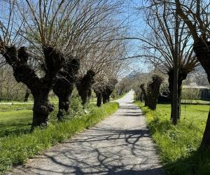 Favola di Natale: i bachi, i gelsi e Ada Negri, seta e terra in valle di Susa