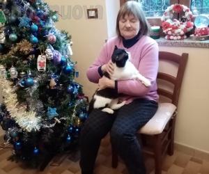 Chiusa S.Michele: l'incidente e la seconda vita del gatto Juve