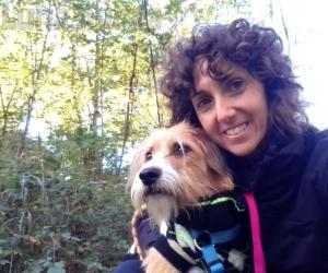 Villar Dora, assalita dai cani lasciati in libert&agrave; dai padroni: &laquo;Solo negligenza umana&raquo;