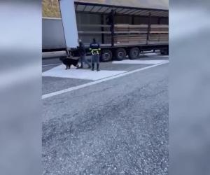 Salbertrand, 70 chili di droga nascosti tra le arance