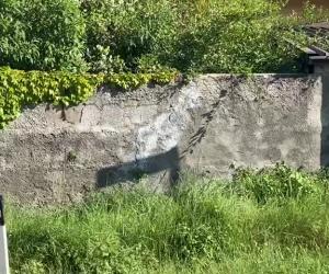 Dramma a Bussoleno: trovato il cadavere di una donna in un'abitazione