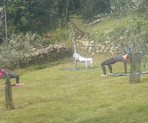 Borgone, Laura si reinventa insegnando fitness nell'oliveto