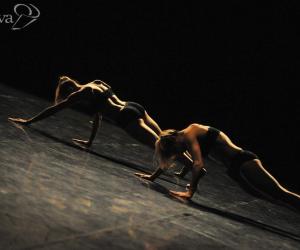 A Rivoli la “2ª azione coreografica”